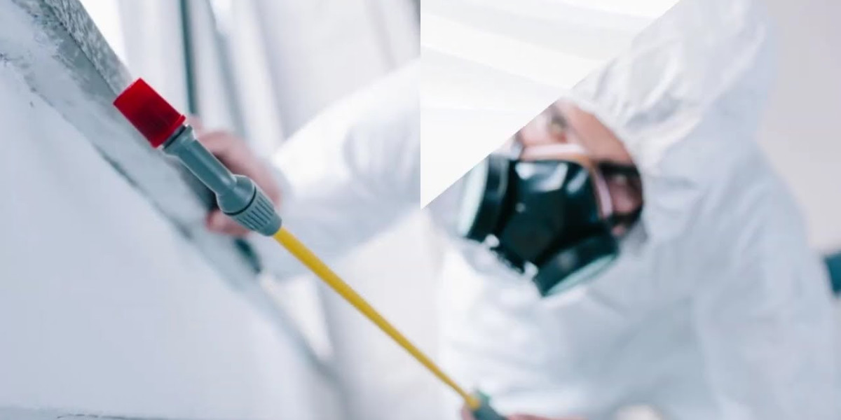 Local Pest Control in Sydney: The Key to a Pest-Free Home and Business