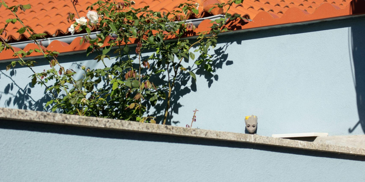 Duurzaam Dakbeheer in de Sleutelstad: Innovatie en Rendement in 2026