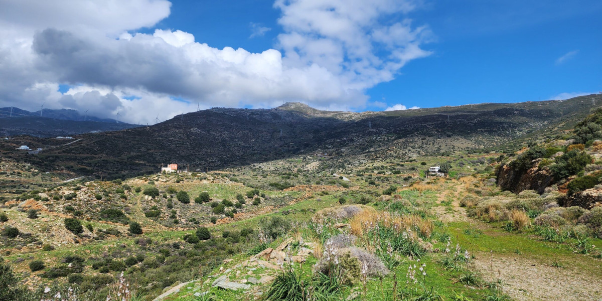 From Old Town Charm to Modern Living: Apartments for Sale in Rhodes Explained
