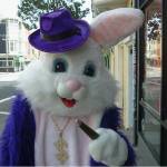 Pimpbunny bunny Profile Picture
