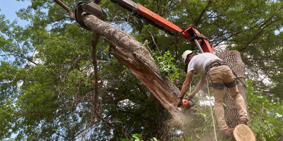 Why Tree Trimming in Cook County, IL is Essential for Property Safety