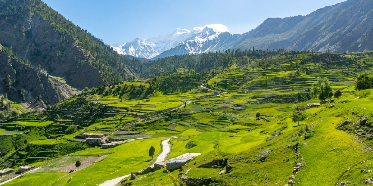 Swat Tour Packages That Promise Comfort Nature and Memories
