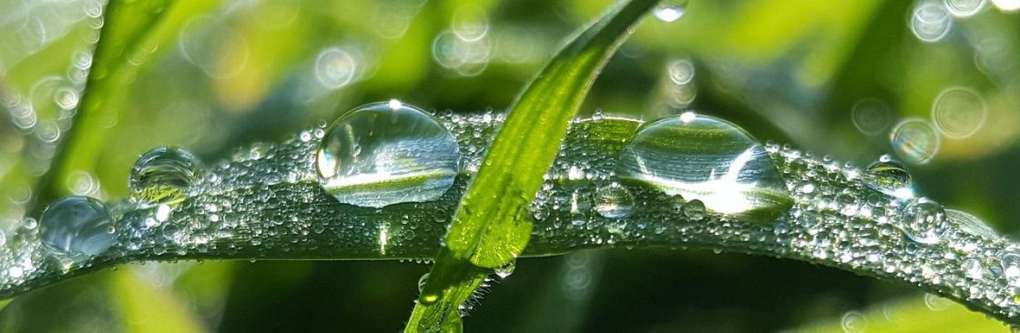 dew point Cover Image