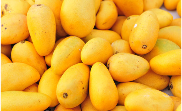 Buy Export Qualit Chaunsa Mango Profile Picture