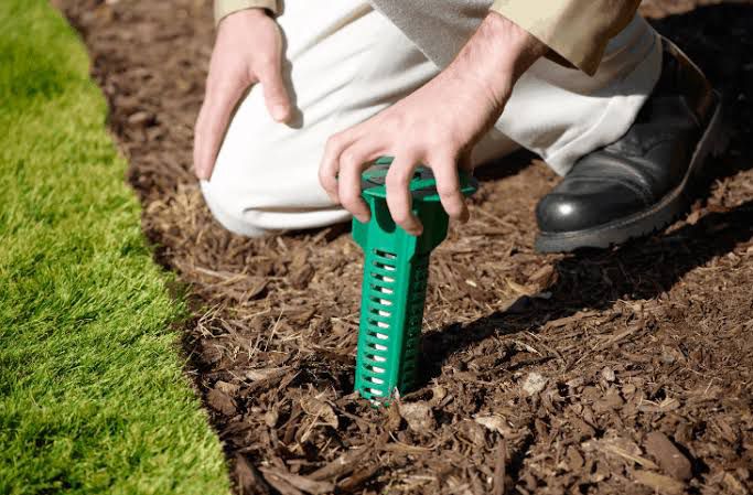 Termite Treatment Service