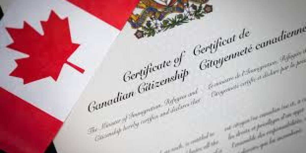 Trusted Citizenship Lawyer for Canadian Citizenship Application Support