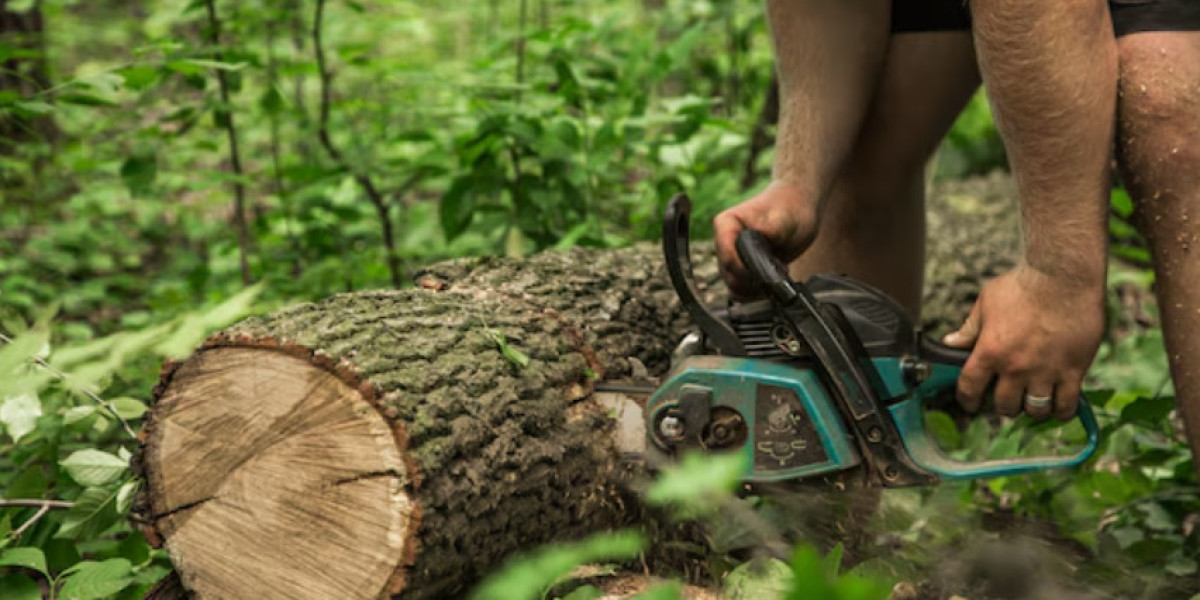 Tree Care Solutions in Daphne, AL: Professional Tree Trimming Service and Stump Removal Services