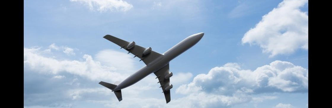 Rushmy Flight Cover Image
