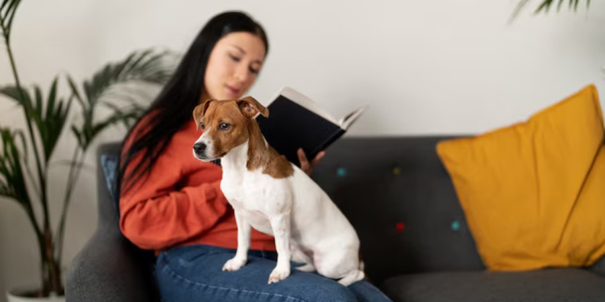 Cat Sitting Fleming Island and Pet Sitting Mandarin Jacksonville: Reliable In-Home Care for Your Pets