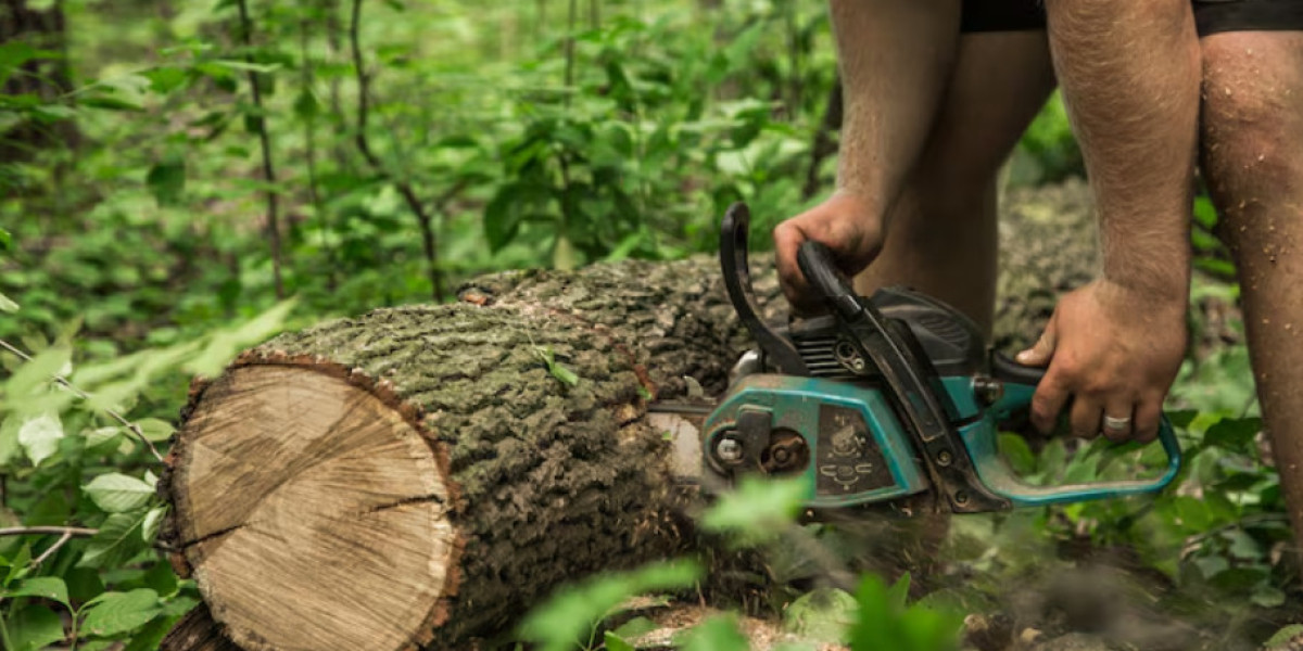 Professional Tree Care Solutions: Tree Pruning Service West Mobile AL and Stump Grinding West Mobile AL