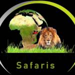 African Memorable Safaris Profile Picture