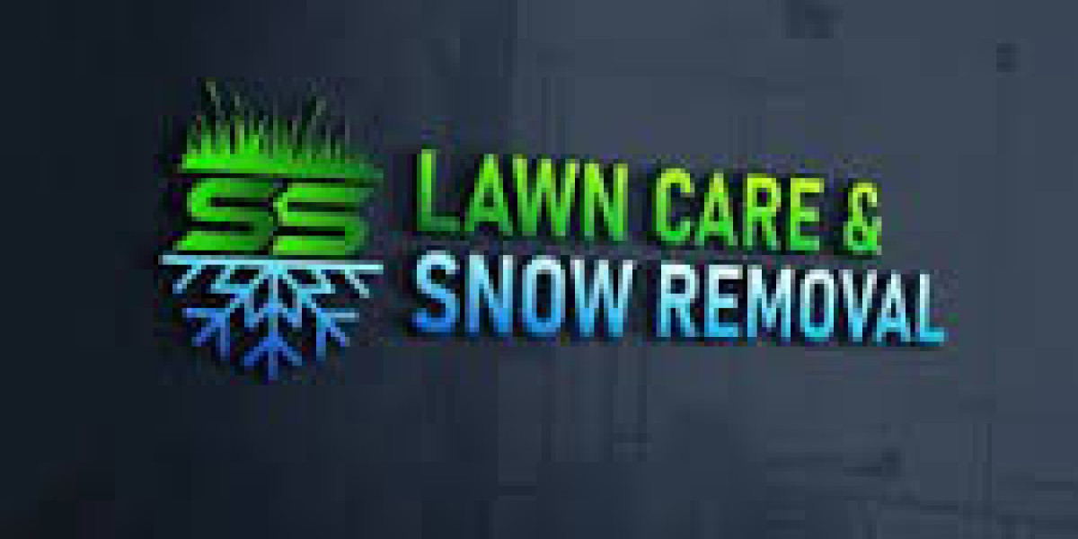 Yard Renovation with New Sod – Complete Outdoor Transformation Solution