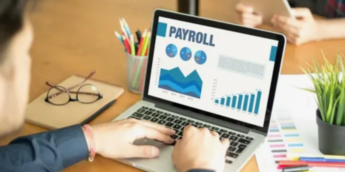 Comprehensive Payroll Service and Forensic Audits Service: Strengthening Financial Accuracy, Compliance, and Business In