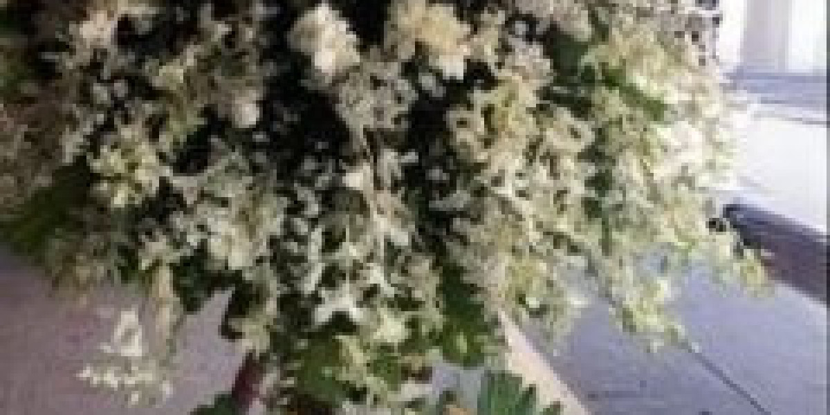 Elegant Funeral Flowers Las Pinas for Heartfelt Sympathy