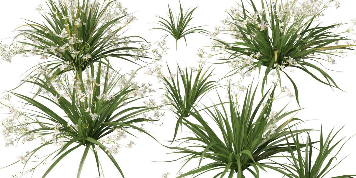 Stunning 3D Garden Designs for Realistic Landscape Visualization