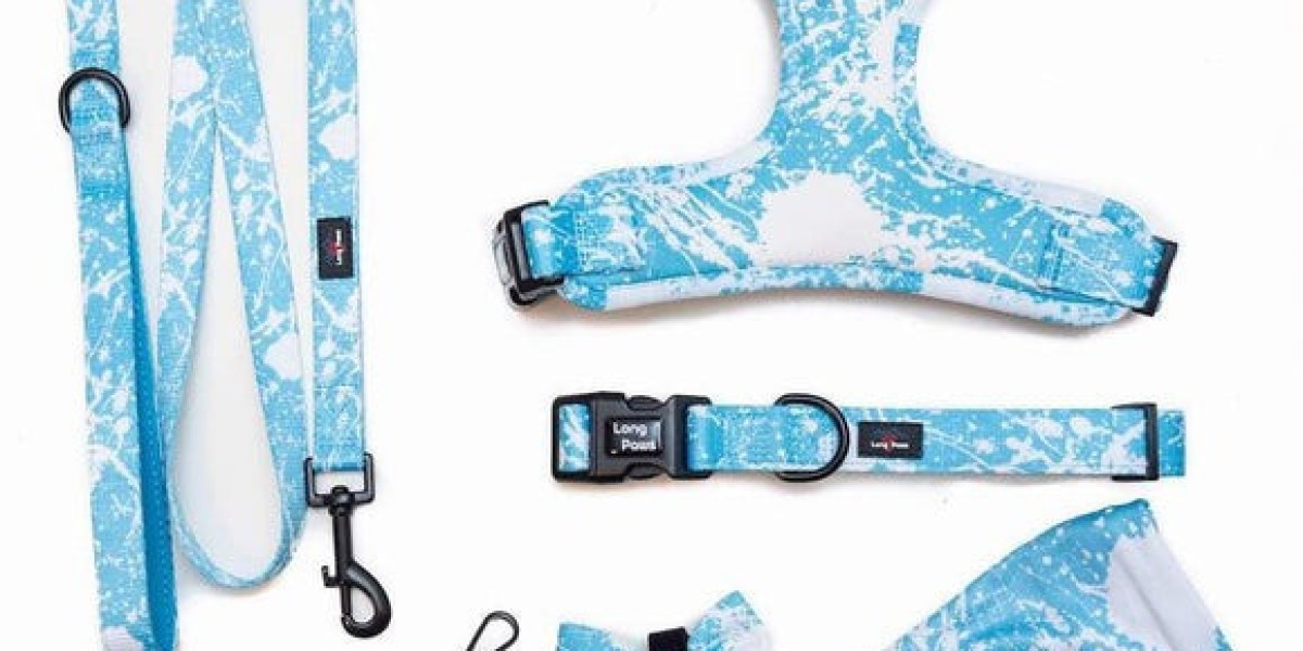 Stylish and Secure Walks: How a Locking Dog Lead, Blue Dog Collar, and Blue Dog Harness Improve Everyday Adventures