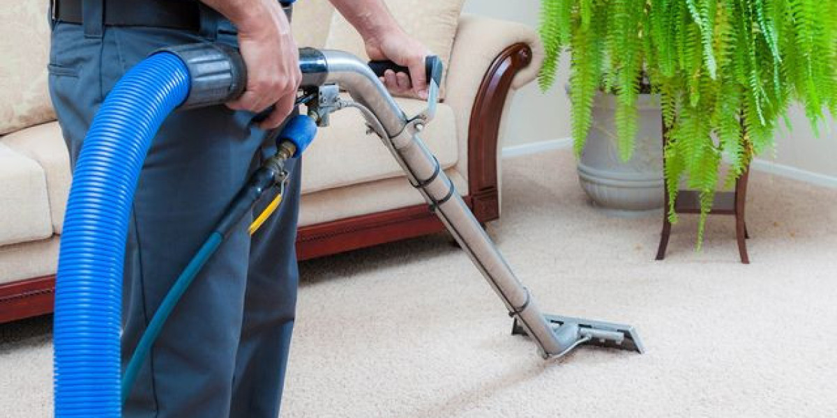 Why Professional Carpet Maintenance Is a Smart Investment for Homeowners
