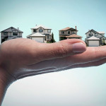greenforestcapital Profile Picture