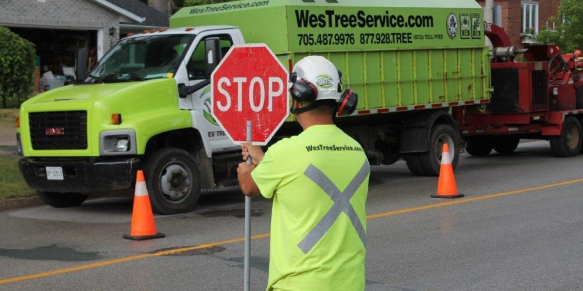Professional Tree Service Muskoka for Safe Tree Care