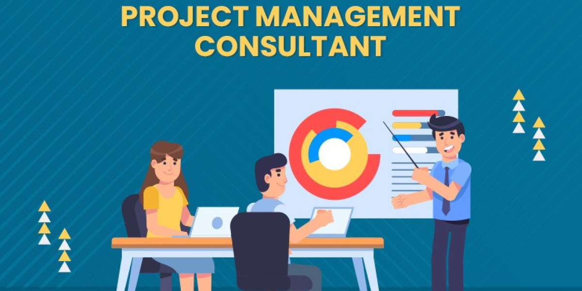 Project Management & Development Consultant: Driving Strategic Growth, Operational Excellence, and Sustainable Busin