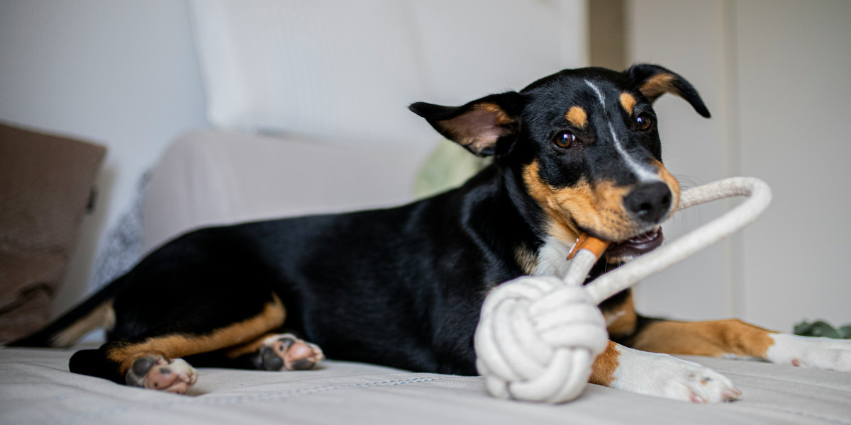 Chew Toys Large Dogs: The Ultimate Guide to Safe, Durable, and Engaging Dog Toys