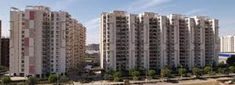 Viraj Constructions Cover Image