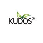 Kudos Ayurveda Profile Picture