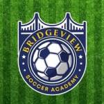 Bridge View Soccer Profile Picture