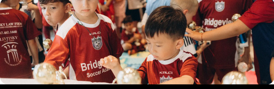 Bridge View Soccer Cover Image