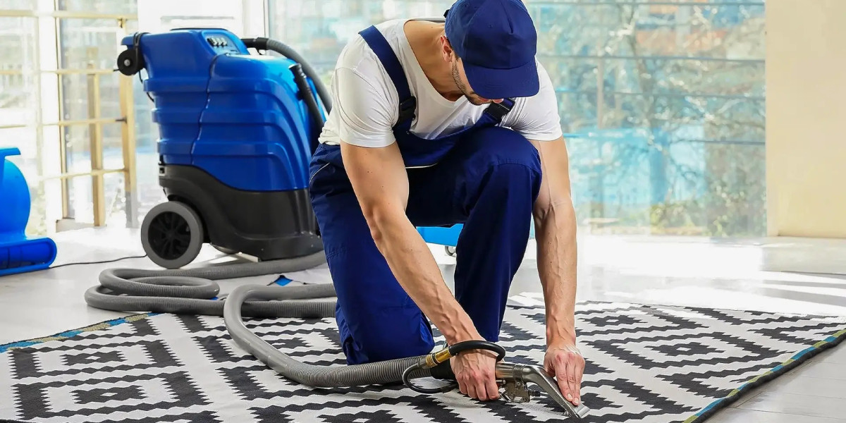 Why Expert Carpet Care Is Important for Every Property