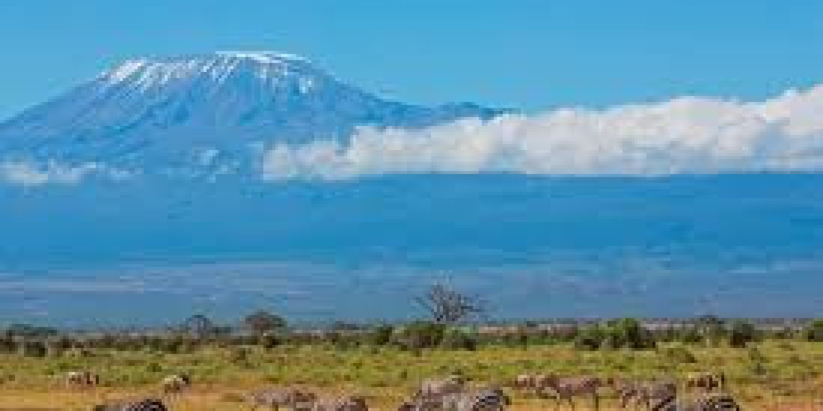 How to Reach Uhuru Peak Safely with Safari Soles Tours
