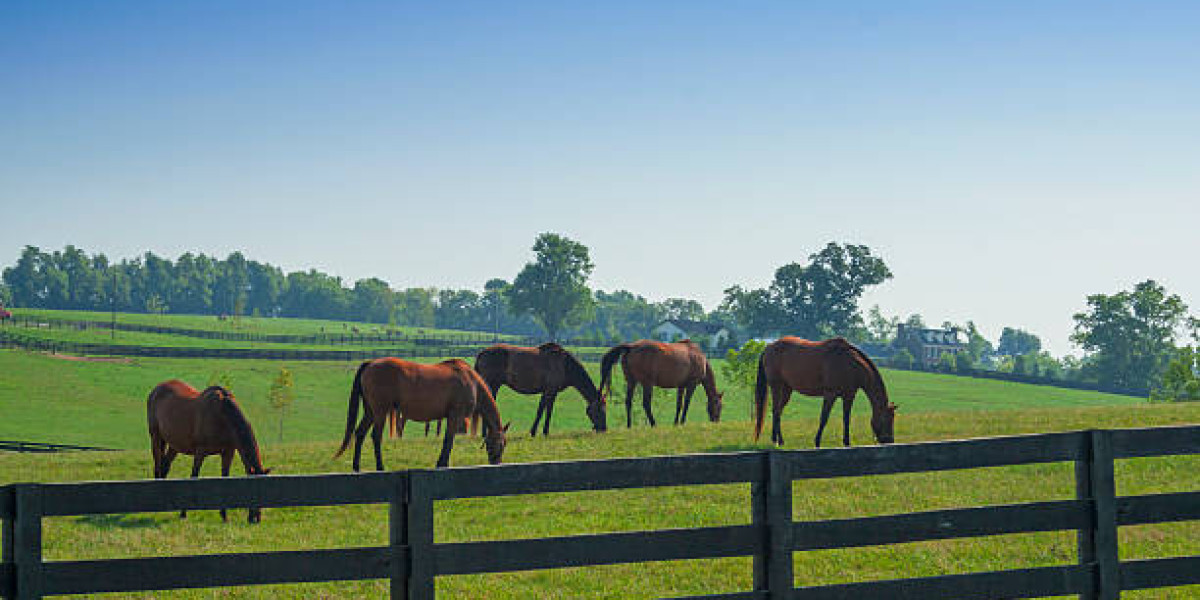 Design Inspiration Through Modern Ranch Fencing