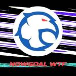 nowgoal wtf Profile Picture