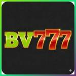 bv777 bv777 Profile Picture