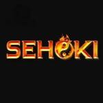 sehoki sehoki Profile Picture