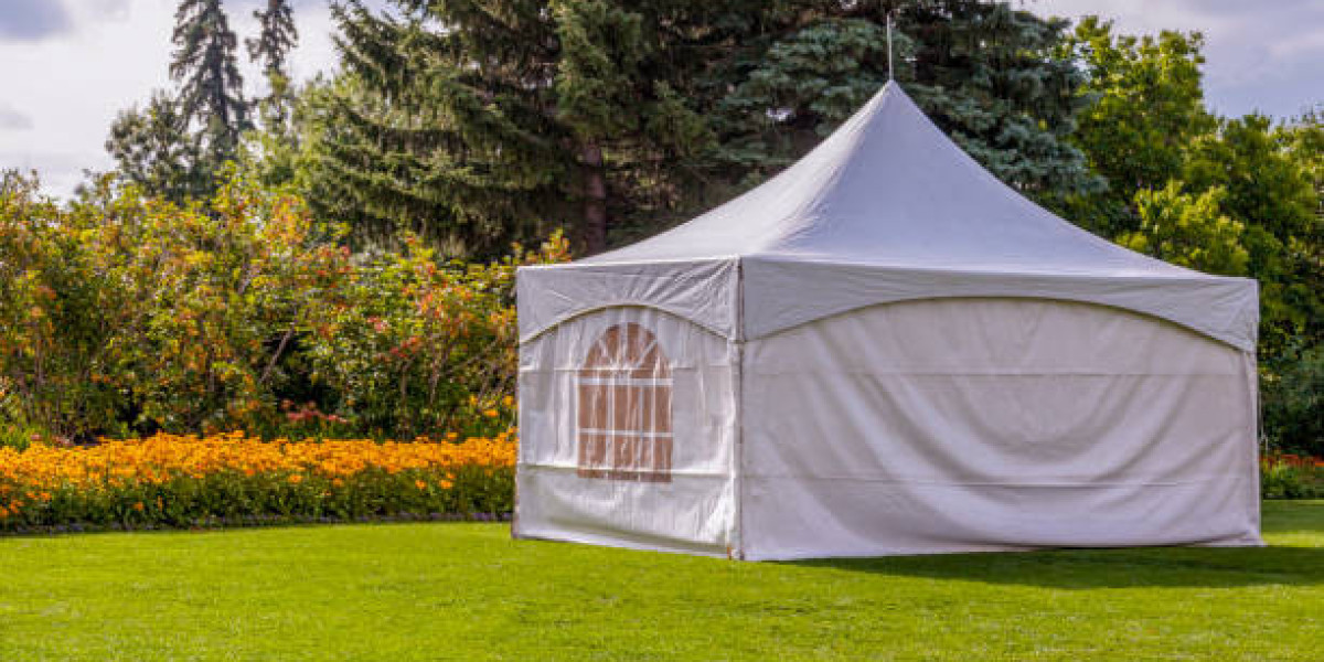 Best 10x10 custom canopy tent