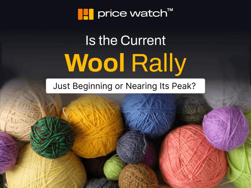 Australian Wool Market Enters Structural Supply-Driven Rally