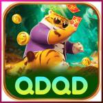 qdqd qdqd Profile Picture