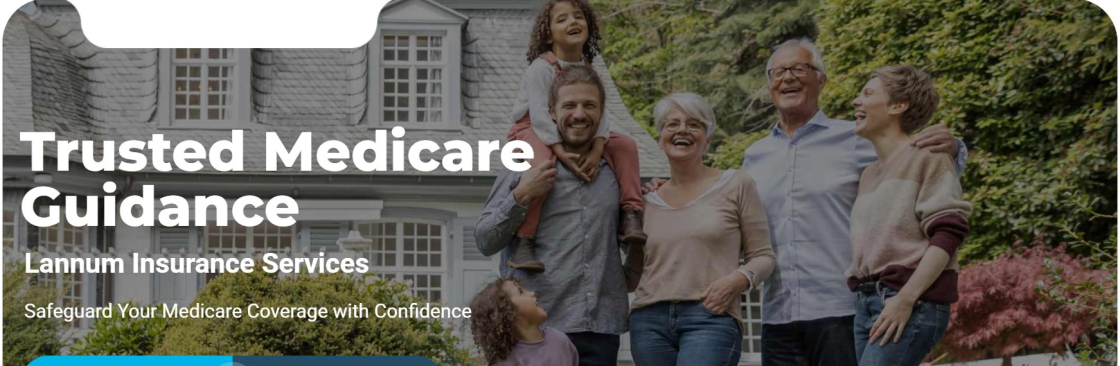 lannuminsurance services Cover Image