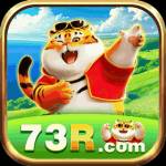 73r 73r Profile Picture