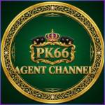 pk66 pk66 Profile Picture