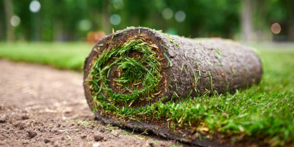 How Can Artificial Grass Withstand Heavy Foot Traffic
