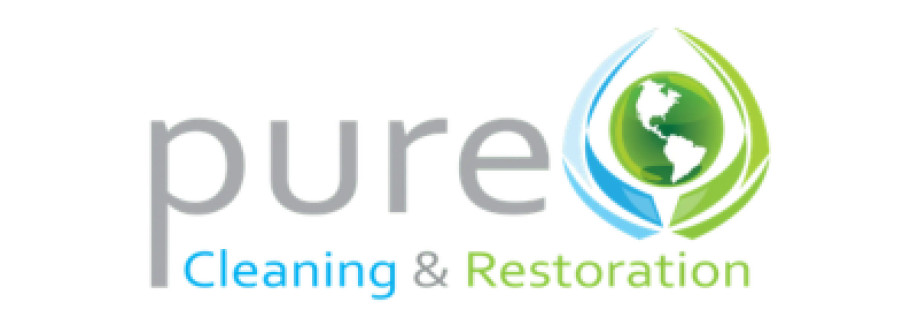 Pure Cleaning Cover Image