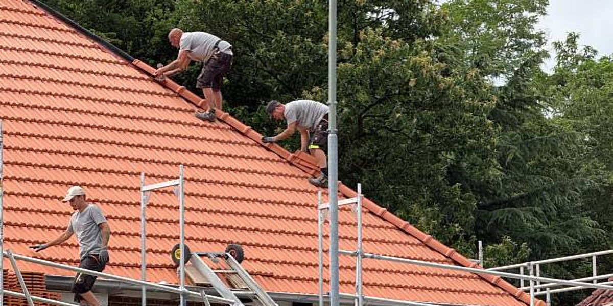 Top Roof Cleaning Ideas for Long-Lasting Results