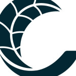 Canopy Nurseries Profile Picture