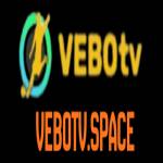 vebotv space Profile Picture