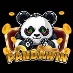 pandawin pandawin Profile Picture