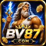 bv87 bv87 Profile Picture