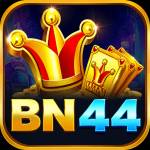 bn4 bn4 Profile Picture