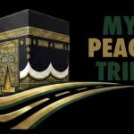 Umrah travel Profile Picture